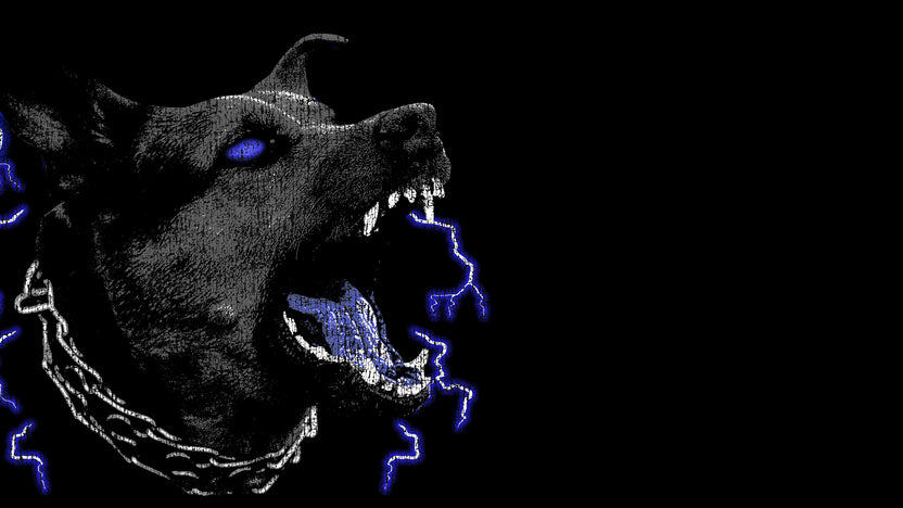 Products – Scars by Rage
